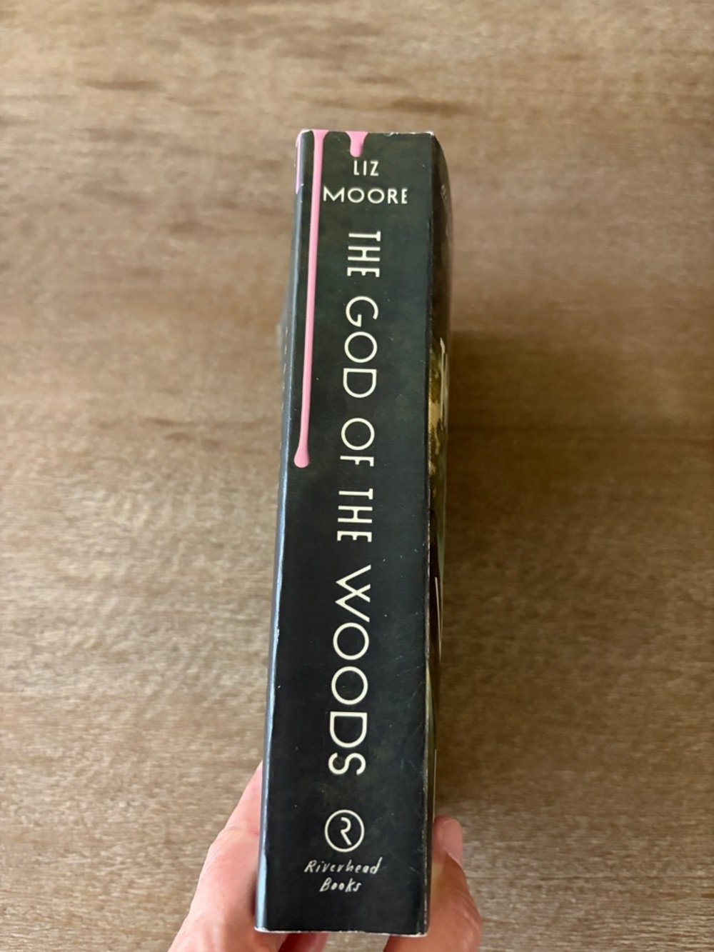 The God of the Woods by Liz Moore - Paperback - Picture 7 of 8